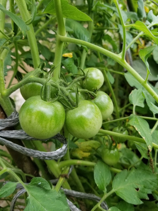 20210803_084128_copy_2268x3024