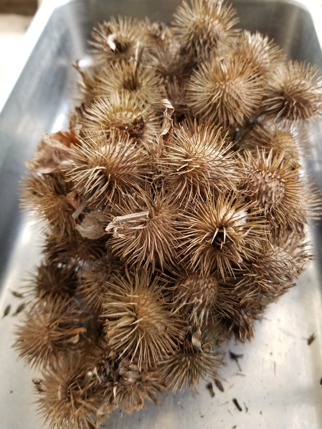 20211112_135129_copy_2268x3024