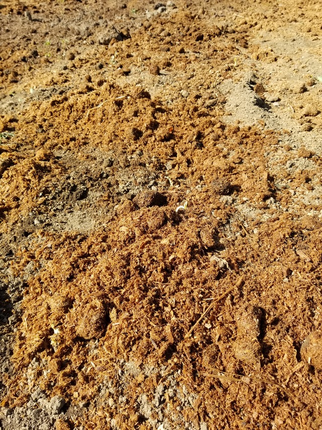 20210910_142504_copy_2268x3024