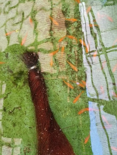 20190522_084804-1620x2160