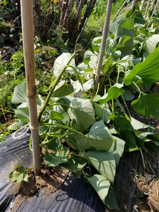 20230703_143238_copy_1512x2016