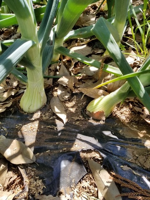 20190509_092203-1620x2160