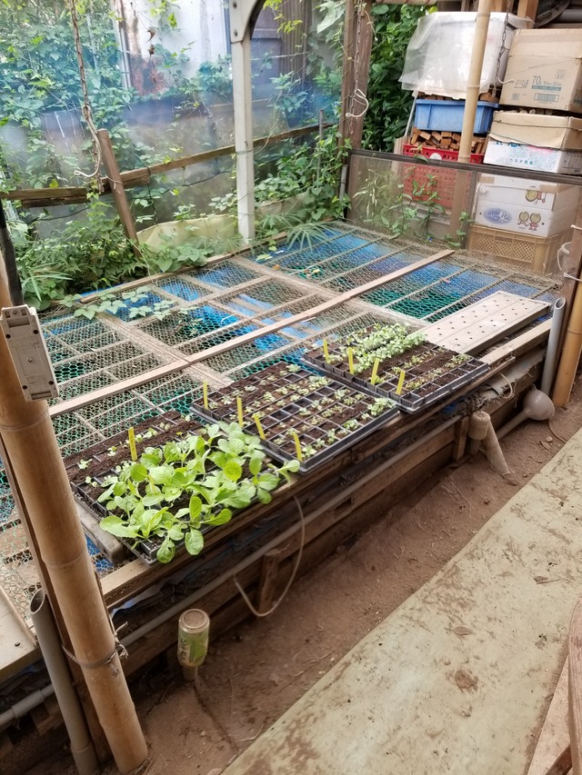 20210917_081546_copy_2268x3024