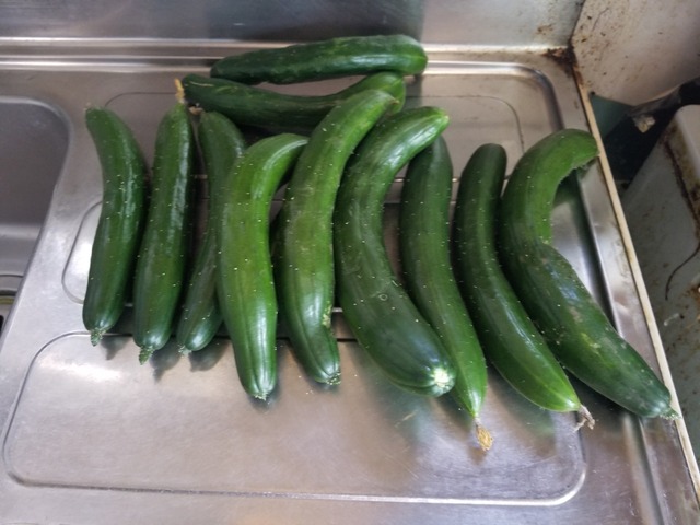 20230817_112518_copy_2016x1512