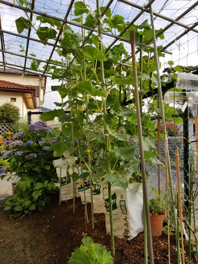 20210622_052807_copy_2268x3024