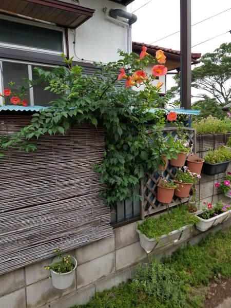 20190706_181938-1620x2160