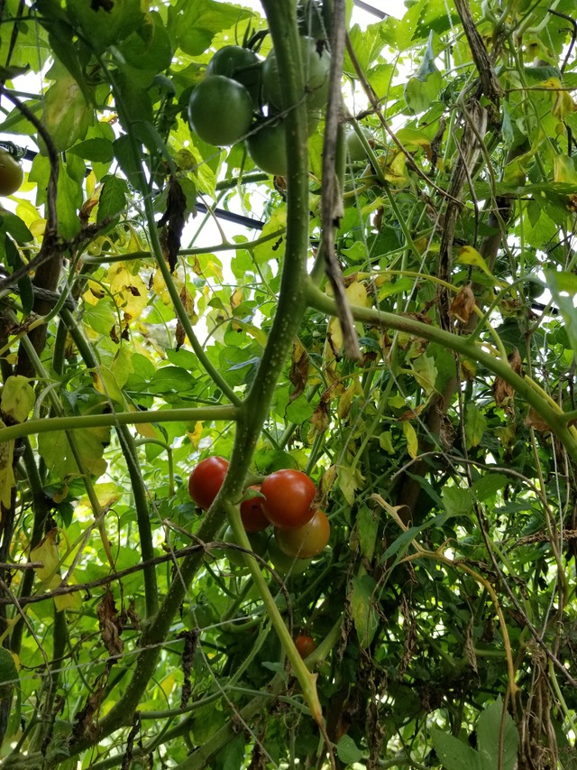 20210803_084306_copy_2268x3024