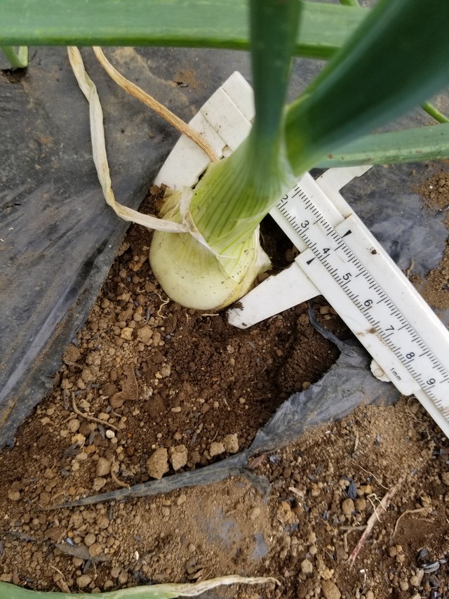 20231219_095628_copy_1512x2016