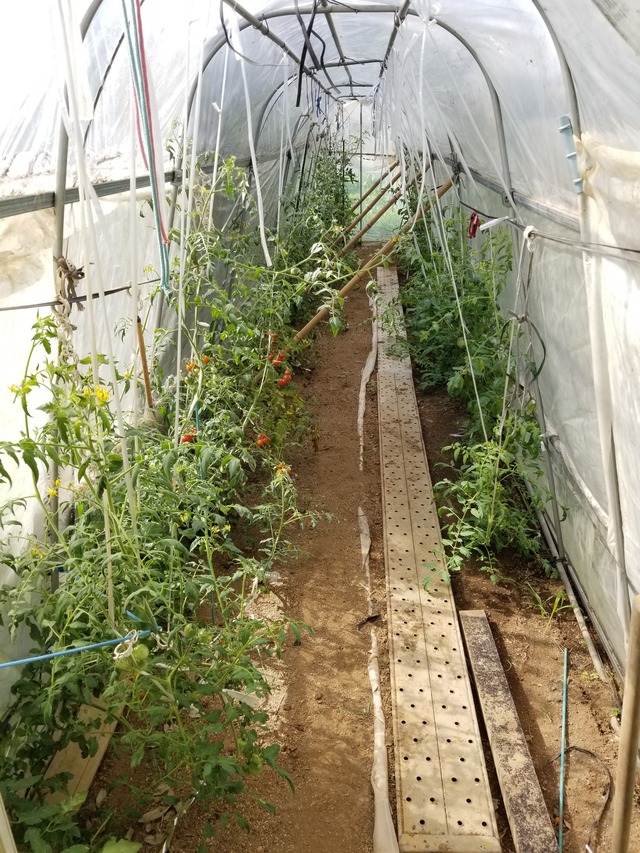 20210803_083641_copy_2268x3024