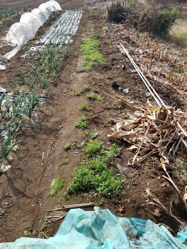 20240215_095519_copy_2268x3024