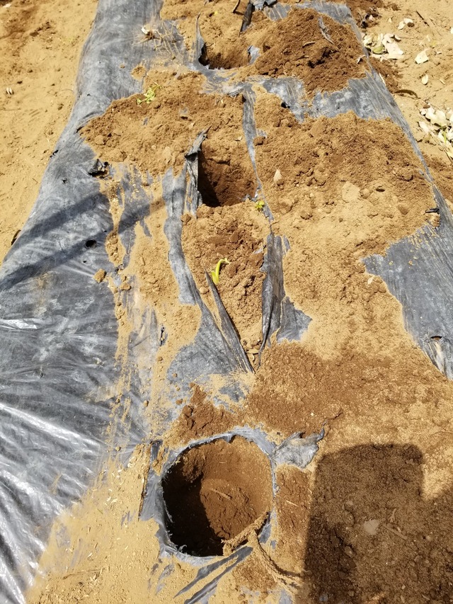 20230425_110129_copy_1512x2016