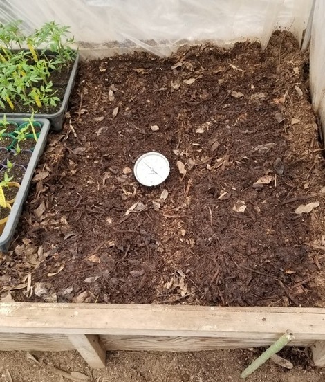 20190330_090432-1024x1365