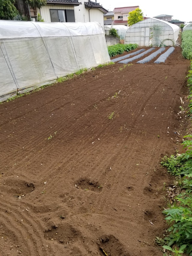 20210513_071022_copy_2268x3024