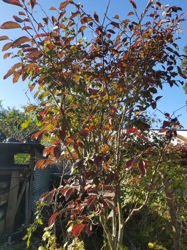20211029_083450_copy_2268x3024