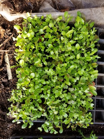 20200124_080808-2268x3024