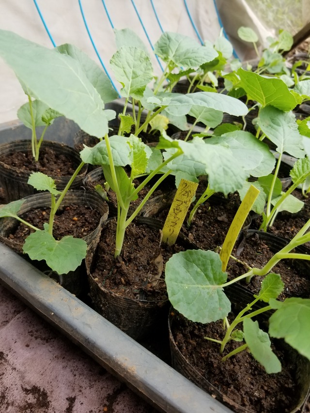 20210906_090906_copy_2268x3024