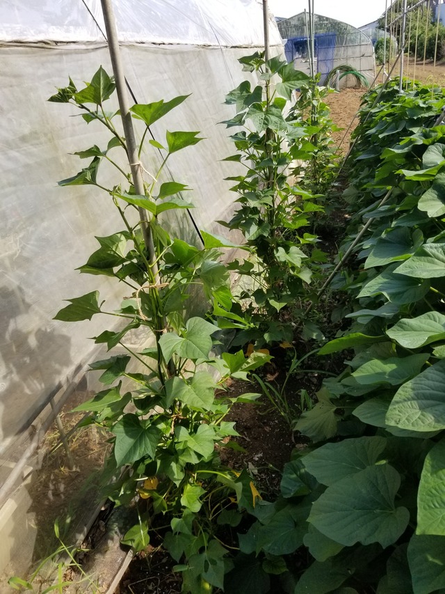 20220721_143647_copy_1512x2016