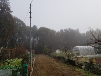 20200214_081820-3024x2268