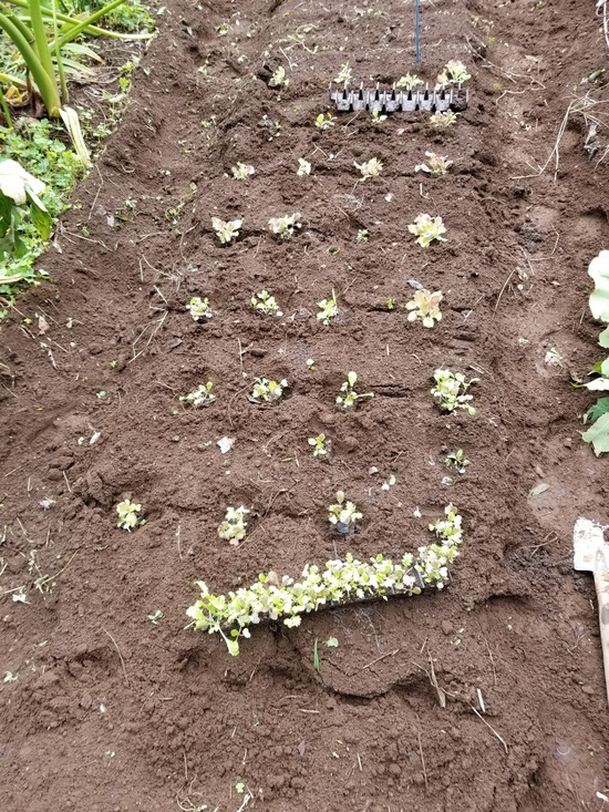 20191018_082857-1620x2160