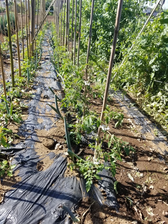 20230510_082527_copy_1512x2016