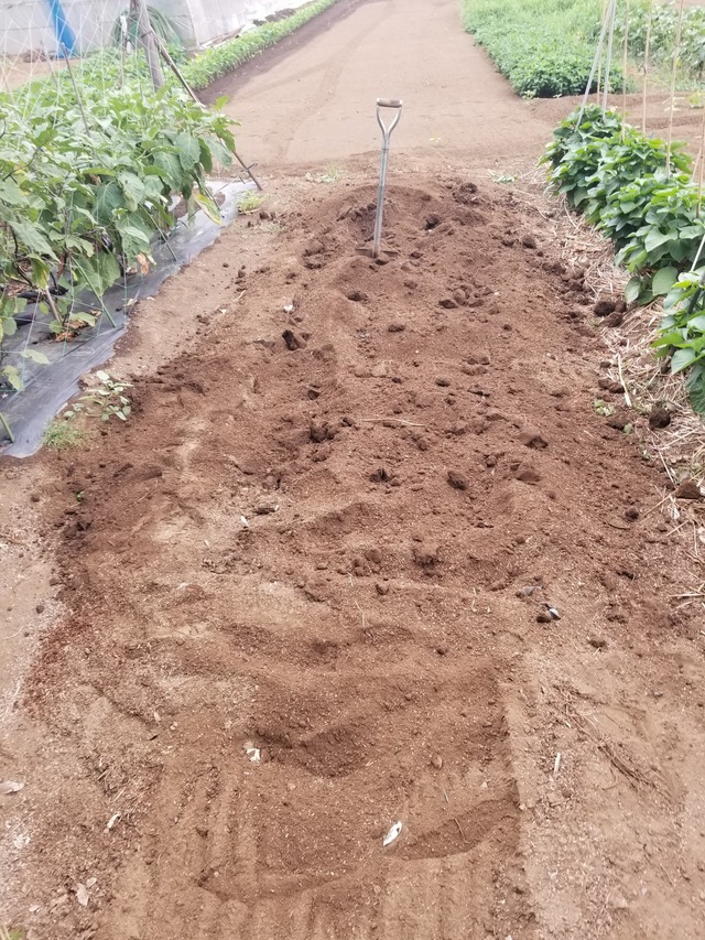 20230801_075536_copy_1512x2016_1