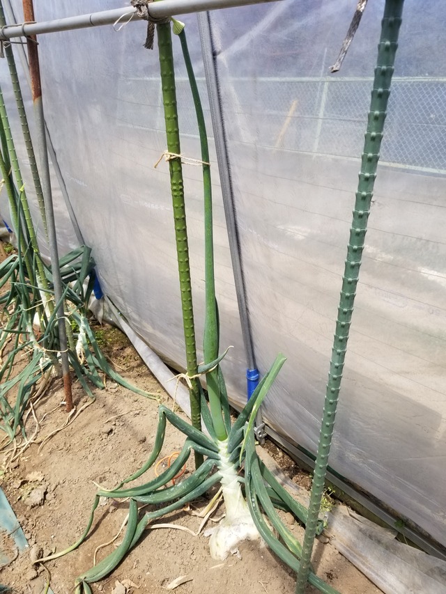 20240322_112159_copy_2268x3024