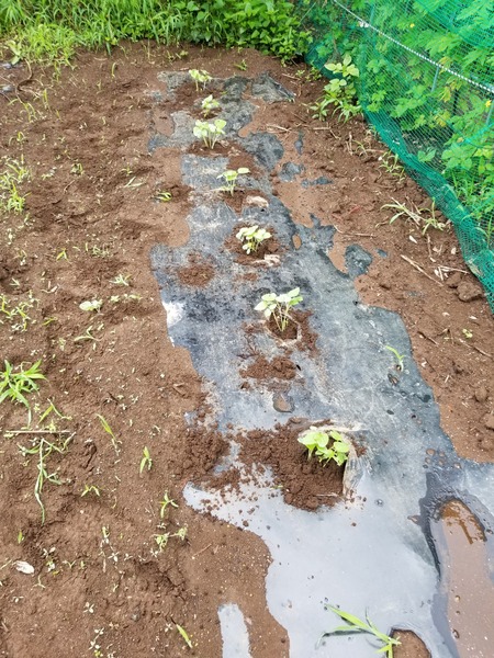 20190706_102029-1620x2160