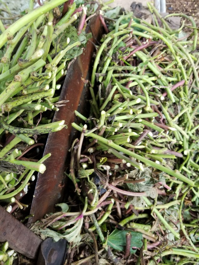 20221024_150113_copy_1512x2016