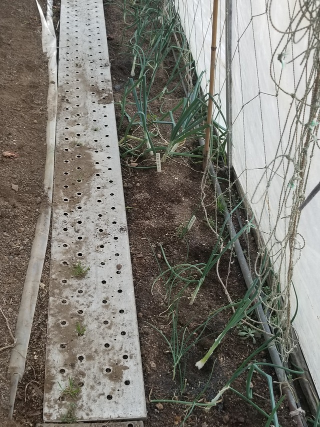 20230110_084205_copy_1512x2016