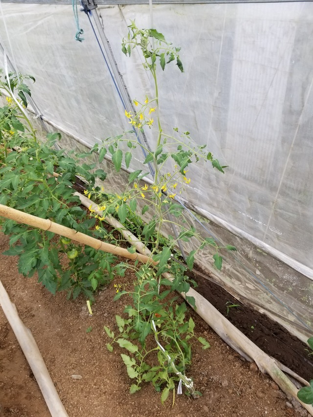 20210601_084132_copy_2268x3024