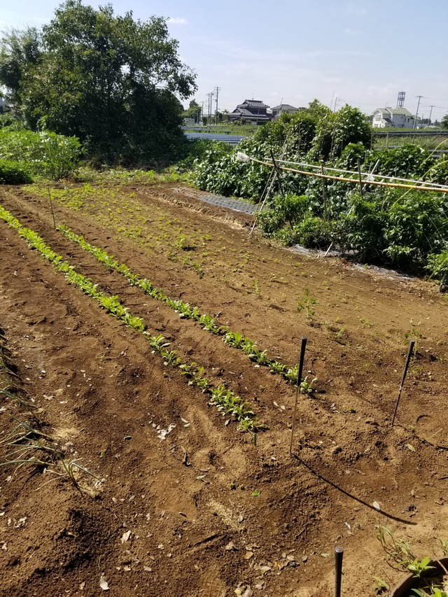 20220914_101251_copy_2268x3024