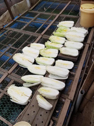 20200213_082111-2268x3024