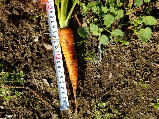 20231221_103106_copy_2016x1512