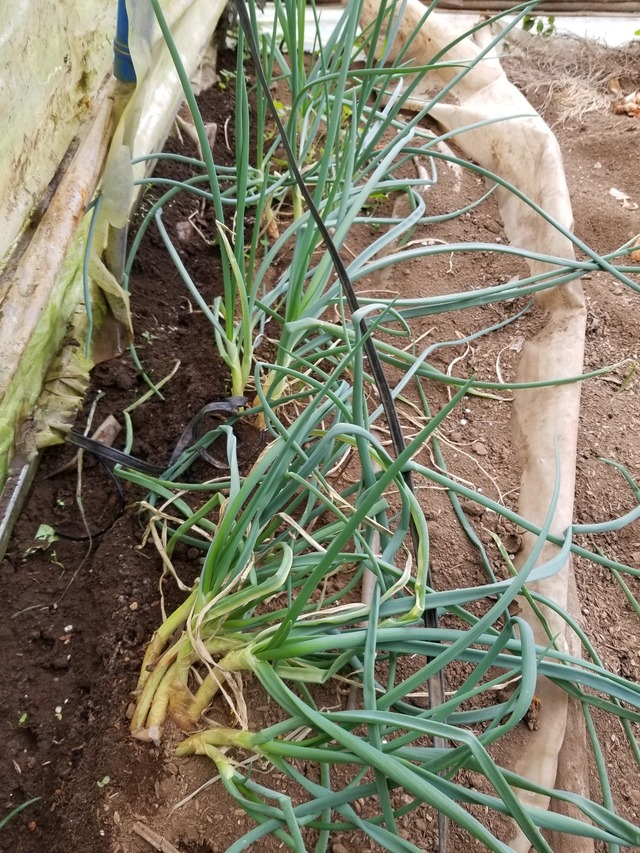 20221206_100822_copy_2268x3024