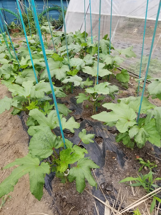 20230630_094936_copy_1512x2016