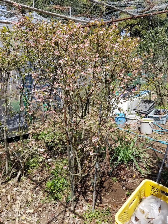 20240413_111044_copy_2268x3024