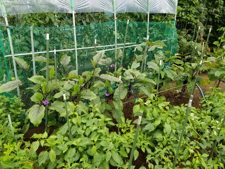 20190712_081233-2160x1620