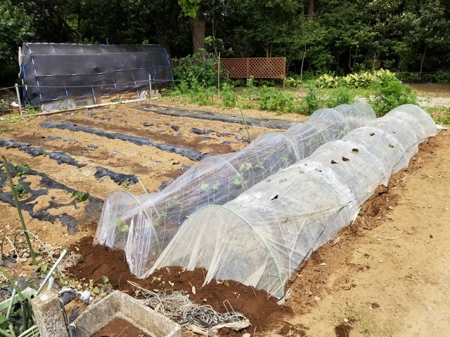 20230429_112912_copy_2016x1512