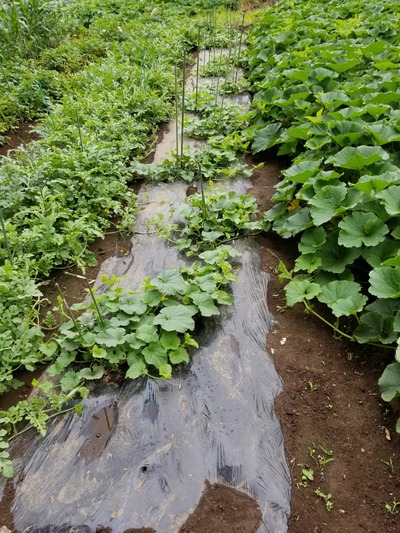 20190628_082512-1620x2160