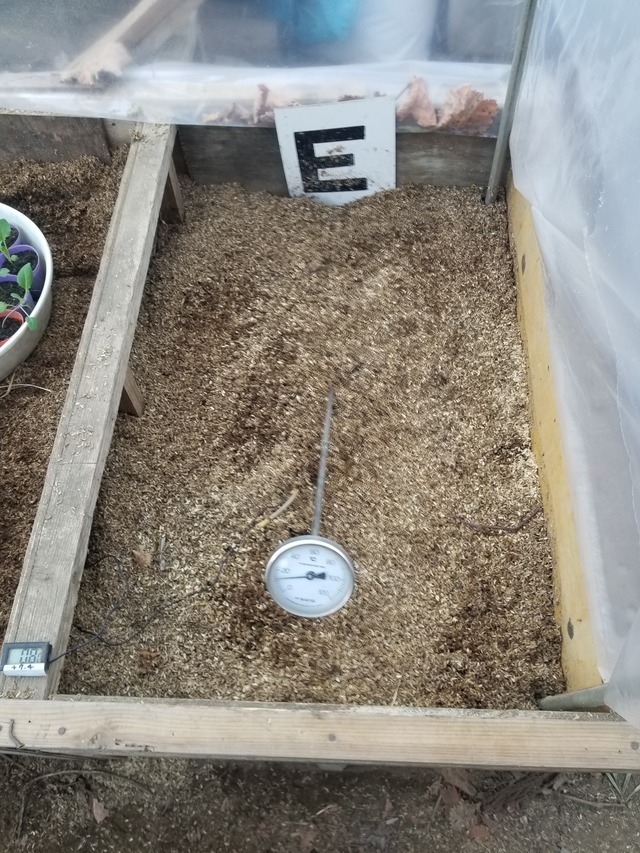 20240110_101149_copy_1512x2016