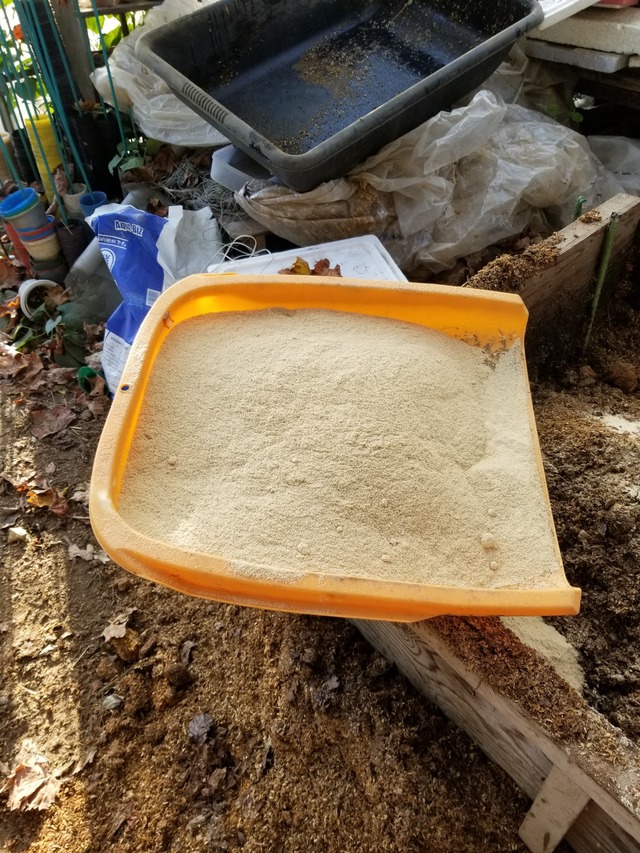 20201116_081348_copy_2268x3024