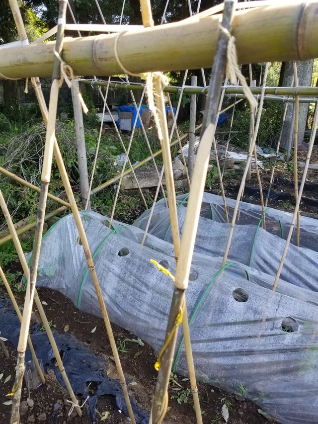 20230510_084923_copy_1512x2016