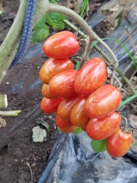 20190714_084214-1620x2160