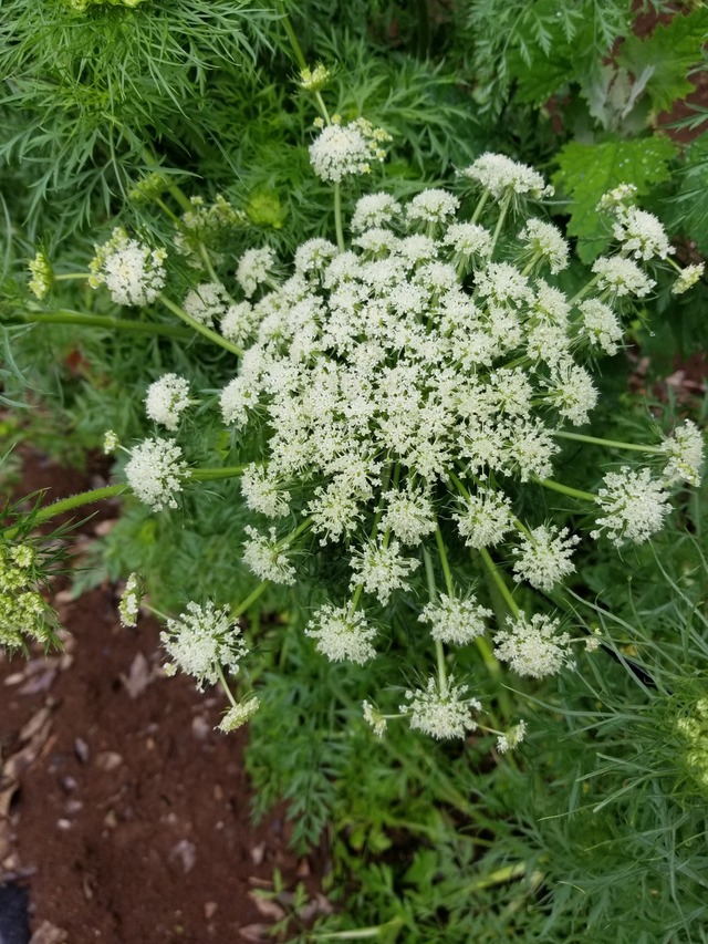 20230520_100424_copy_1512x2016