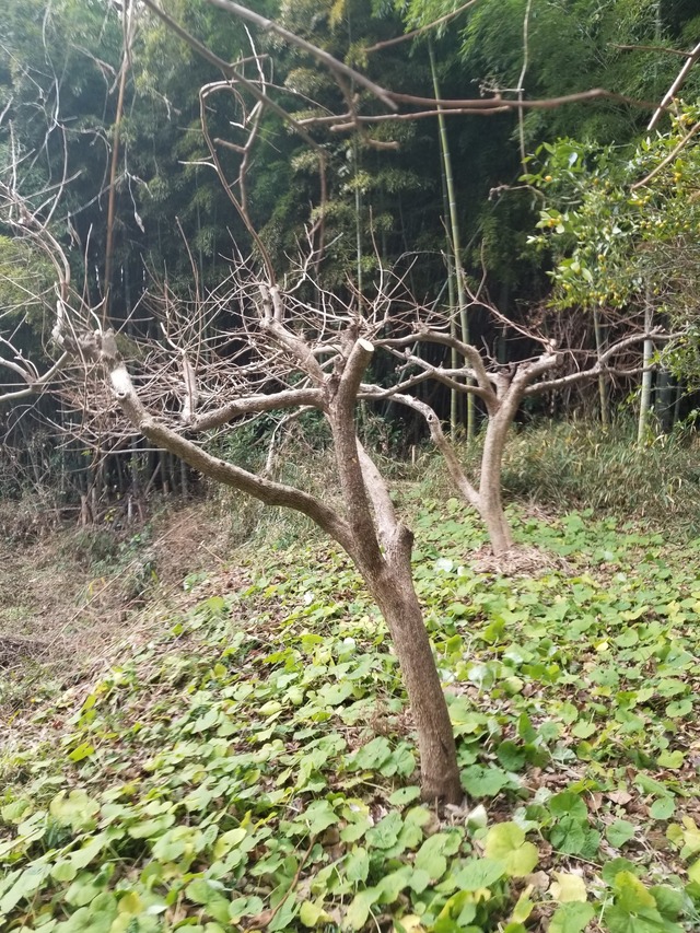 20240103_100518_copy_1512x2016