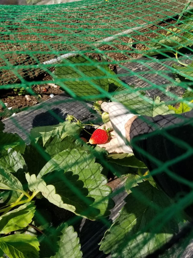 20230427_090240_copy_1512x2016