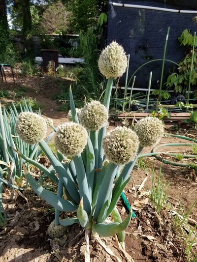 20190517_083030-1620x2160