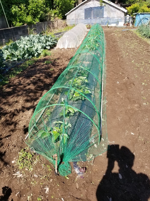 20230427_084318_copy_1512x2016