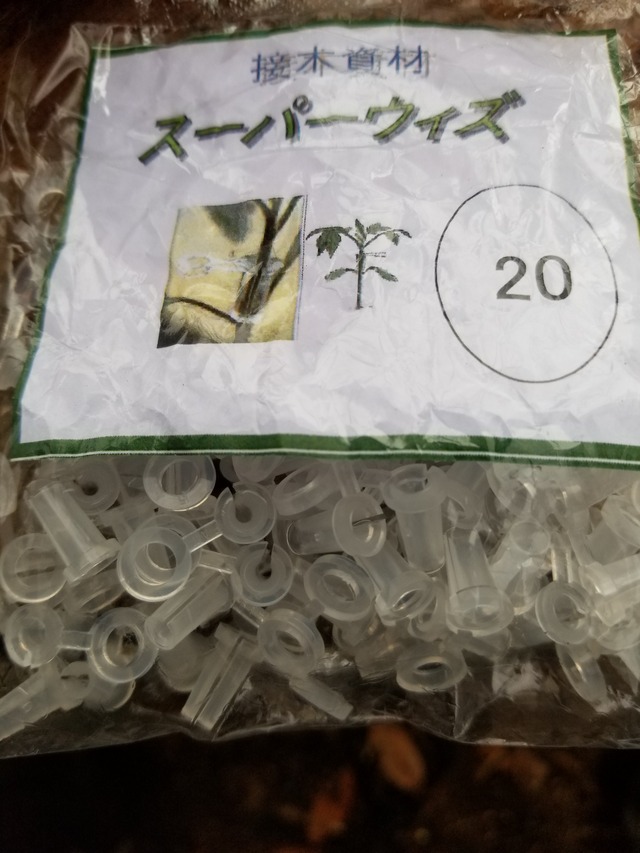 20200305_082814-2268x3024