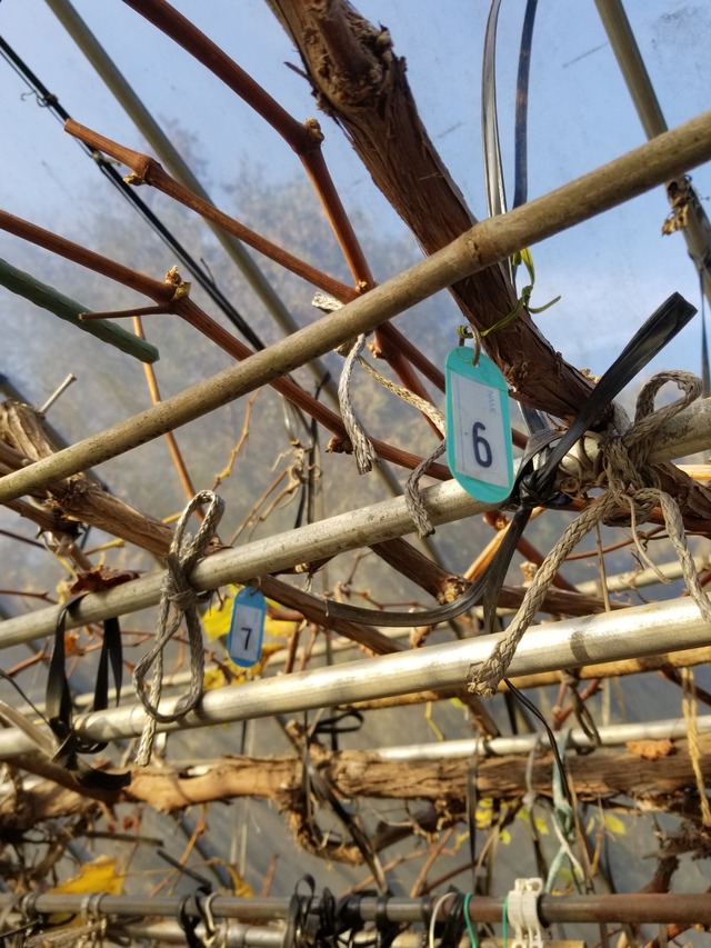 20231218_145552_copy_1512x2016